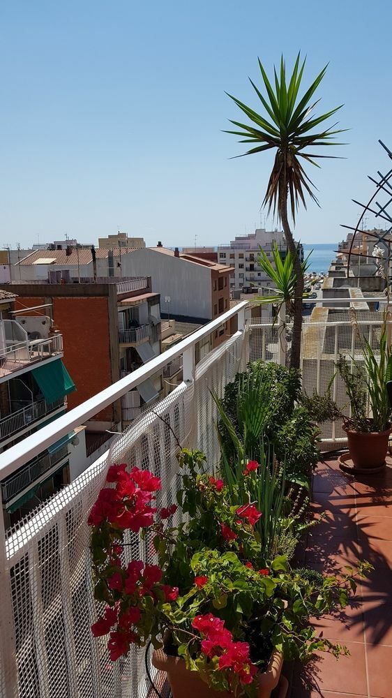 Apartamento Mediterraneo Pineda de Mar Dış mekan fotoğraf