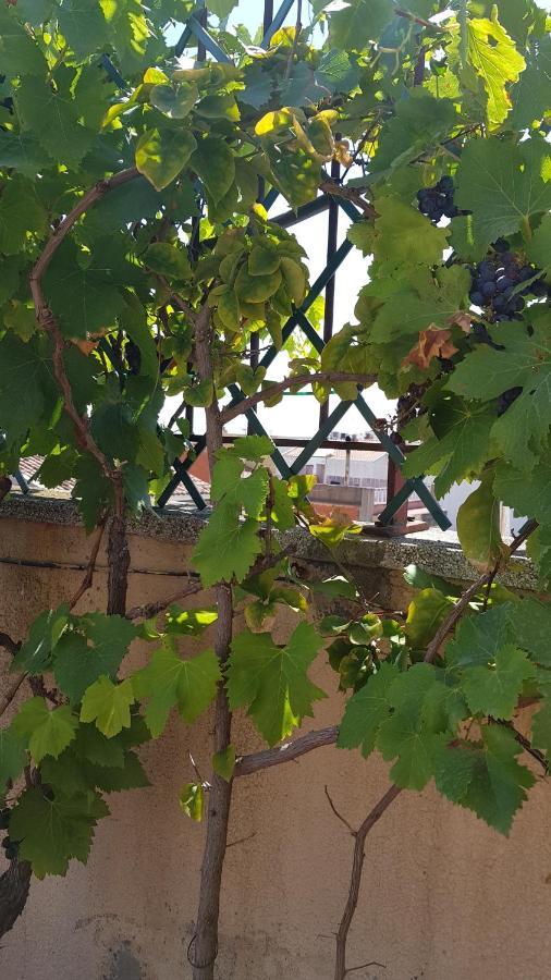 Apartamento Mediterraneo Pineda de Mar Dış mekan fotoğraf